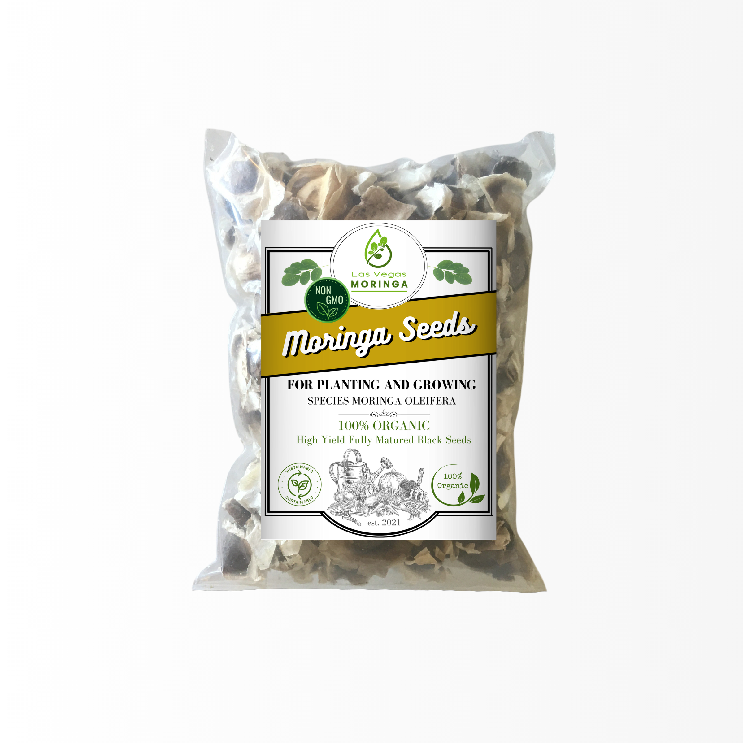Las Vegas Moringa Oleifera Planting Seeds | Las Vegas Moringa
